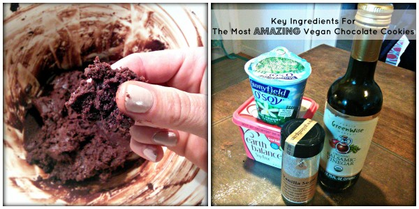 The Most Amazing Vegan Chocolate Cookies Key Ingredients