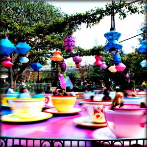 mad tea cups fandom5 theme park rides