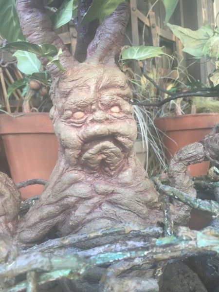 Mandrake Mandragora Wizarding World Harry Potter Universal Studios Orlando Florida Forbidden Journey