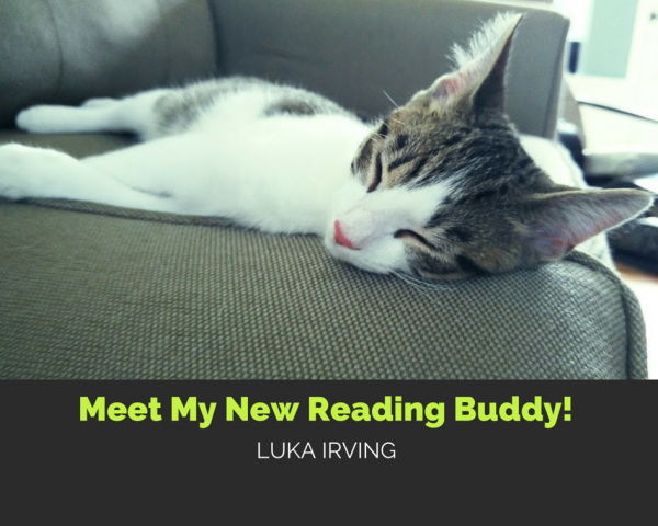 LUKA kitty #fairytaleRC reading buddy