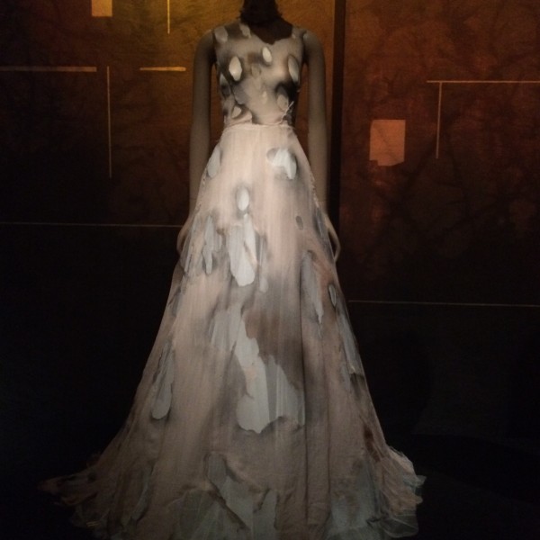 Burned Dress Cinderella