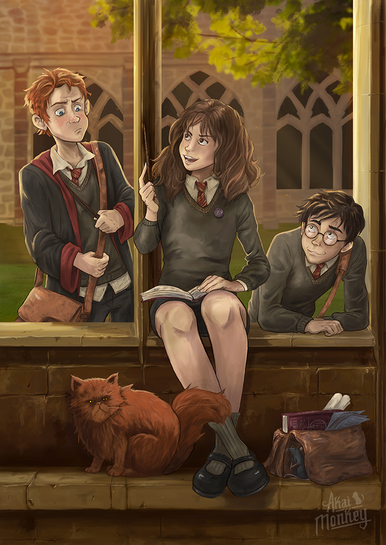 Potterweek Hermione The Brightest Girlboss Of Her Age Common Room 9487